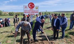 ŞEHİT GÜRPINAR İÇİN HATIRA ORMANI