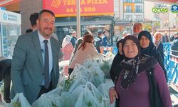 SANDIKLI’DA 70 BİN ATA TOHUMU FİDESİ DAĞITILDI