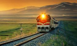 TCDD İLAÇLAMA YAPACAK