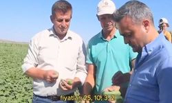 CHP İL BAŞKANI ERHAN, “SALATALIK ÜRETİCİSİ PERİŞAN DURUMDA”