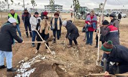 “HAYATTAN KOPARILAN KADINLAR ADINA” DİKİLEN FİDANLAR TOPRAKLA BULUŞTU