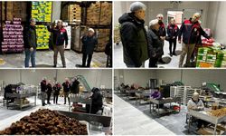 RAMAZAN ÖNCESİ HURMA DENETİMİ