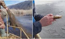 SU ÜRÜNLERİ KAÇAK AVCILIĞINA GEÇİT YOK