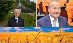 TAYTAK, “BİLGE LİDERİMİZ BAHÇELİ, “ASKIDA 9 GÜLEK BUĞDAY” PROJESİNİ BAŞLATTI”