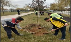 LİONS’LAR AKARÇAY'A PAVLONYA AĞACI DİKTİ