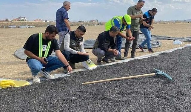 EMİRDAĞ’DA AYÇİÇEĞİ HASADINA BAŞLADI.